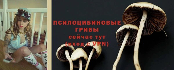 прущие грибы Верхнеуральск