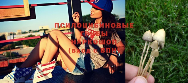 МДПВ Верхний Тагил