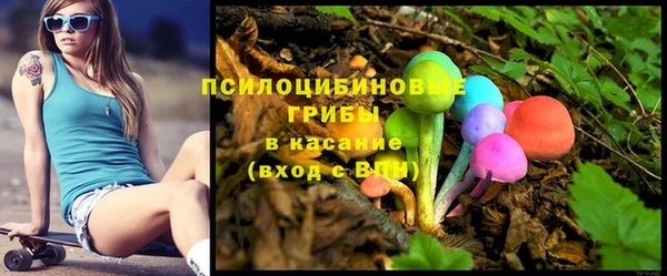 МДПВ Верхний Тагил